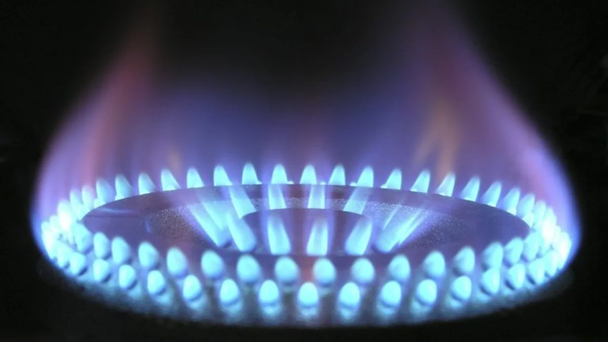 Flammes bleues d&rsquo;un brûleur à gaz