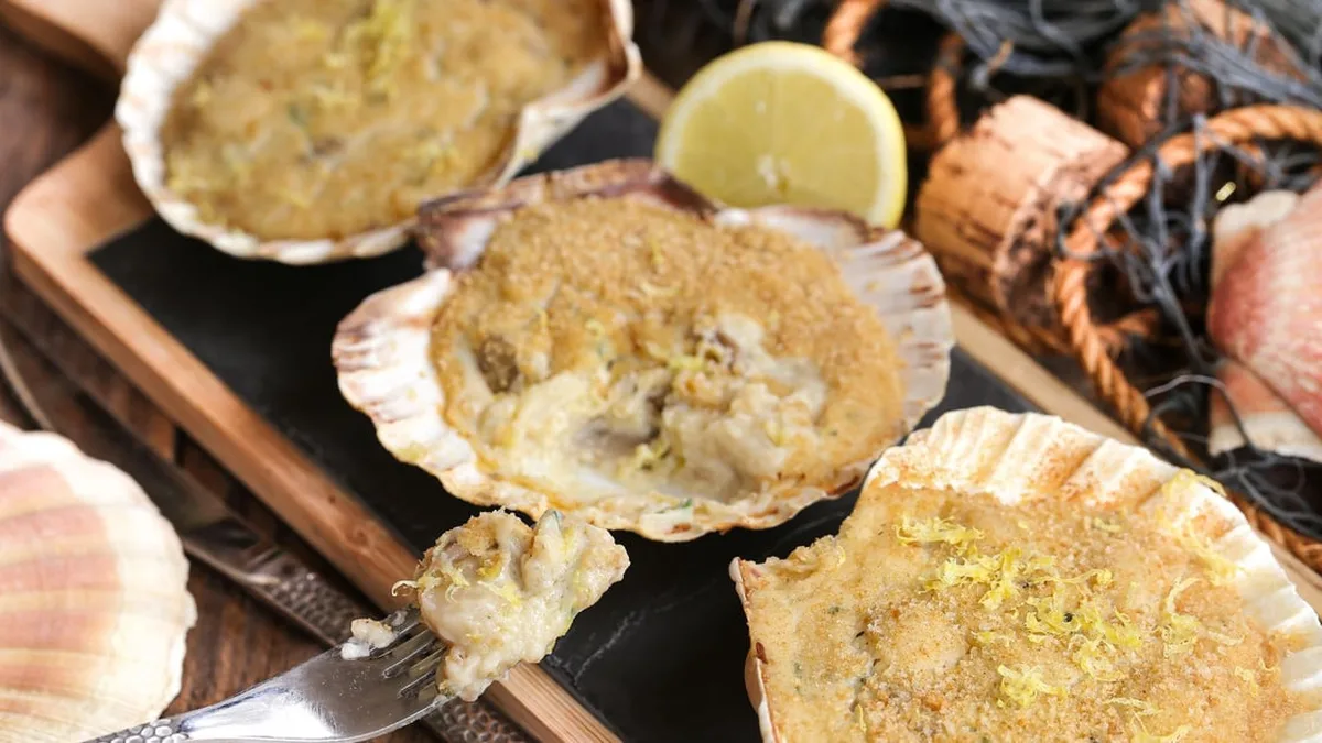 Coquilles Saint-Jacques gratinées servies dans leur coquille
