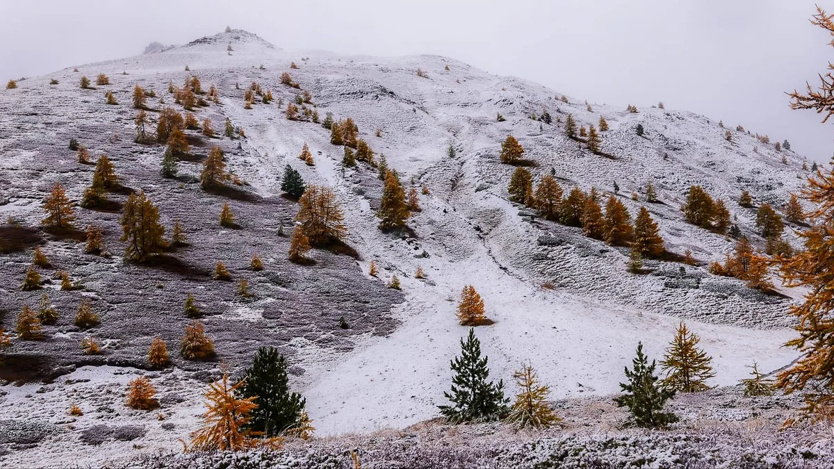 Coup de froid : la neige dès 1 600 m ce week-end, 5 gestes pour protéger maison et jardin