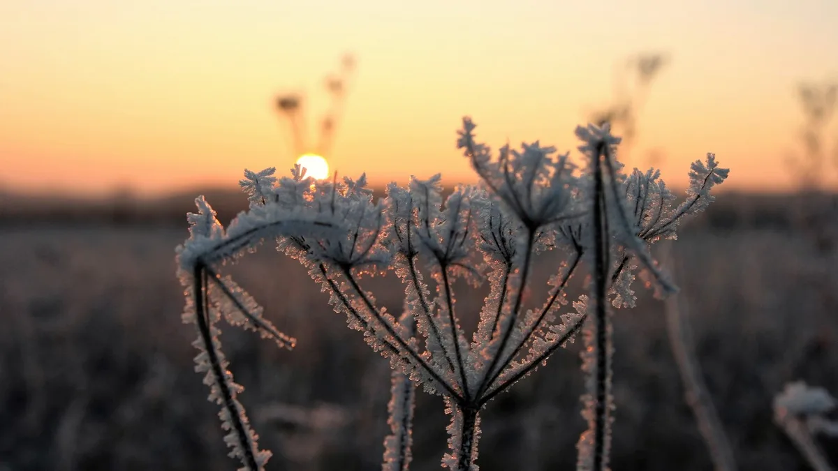 Froid : moins de 10 °C et des gelées en plaine dès début novembre