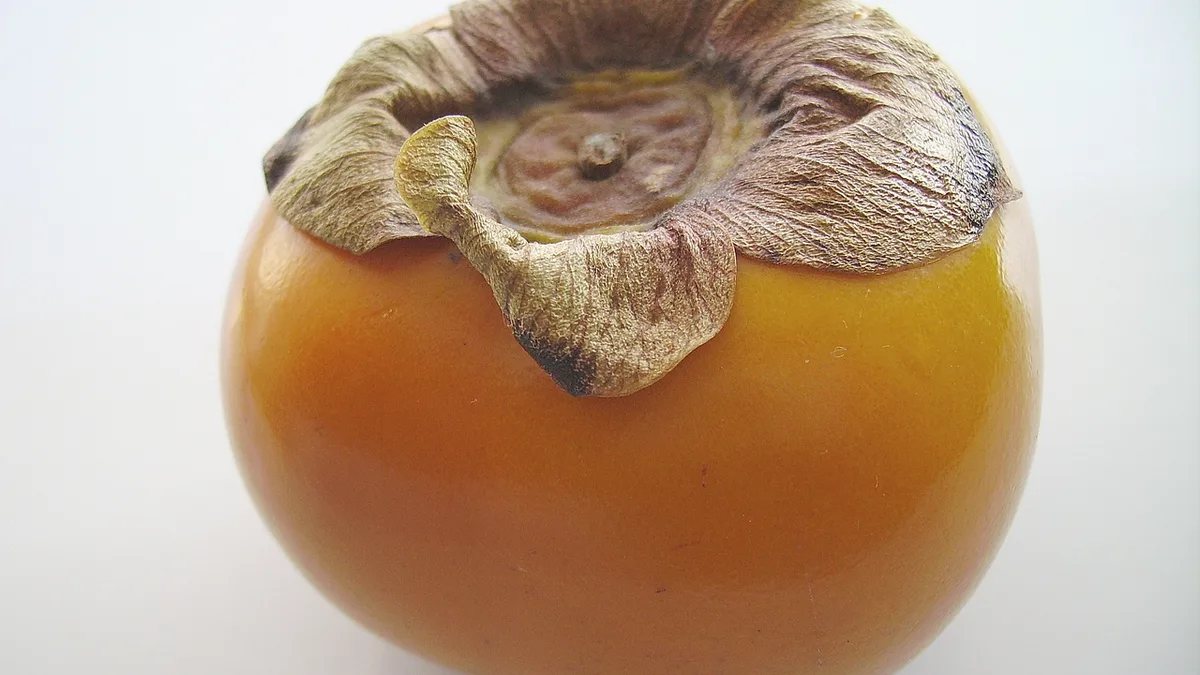 Un kaki orange et brillant, vu de près