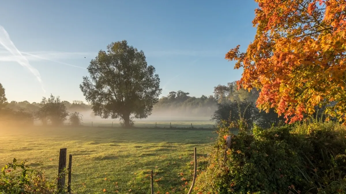 Une prairie sous la brume matinale d&rsquo;automne
