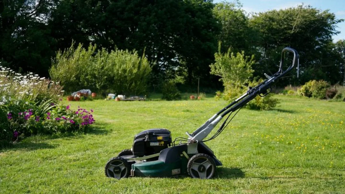 Pelouse : les 5 gestes d'octobre qui font la différence au printemps
