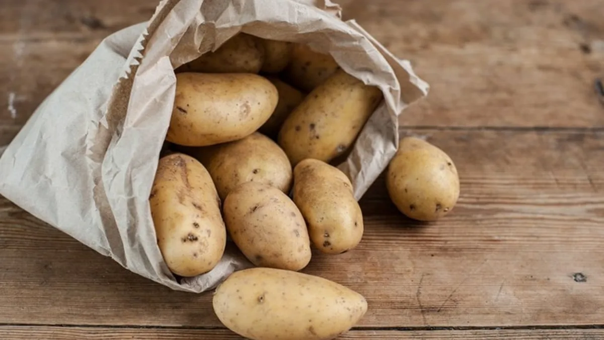 Pommes de terre conservées dans un sac en papier
