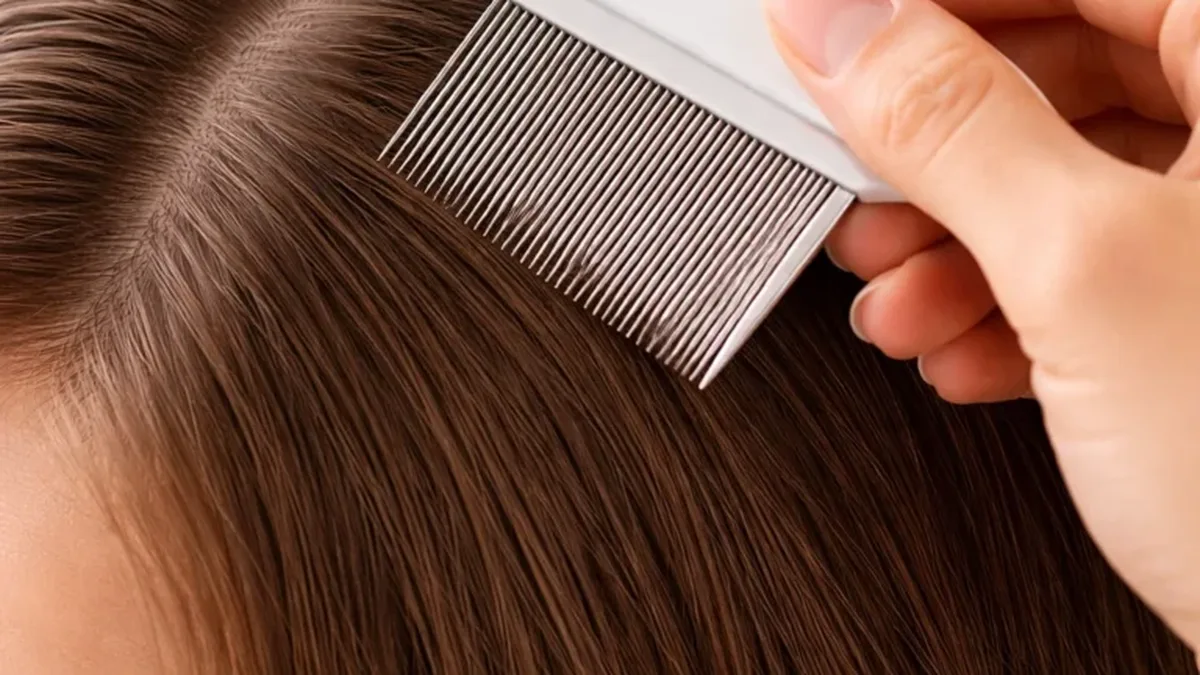 Une mère inspecte les cheveux de sa fille à la recherche de poux et de lentes