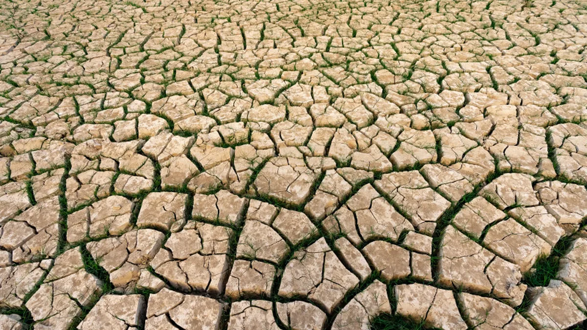 Sécheresse : 2 milliards à taux zéro pour les agriculteurs — combien, qui, et comment en profiter