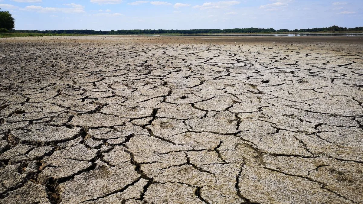 Un plan d&rsquo;eau réduit à une étendue de terre craquelée : le déficit de pluie dure depuis juin