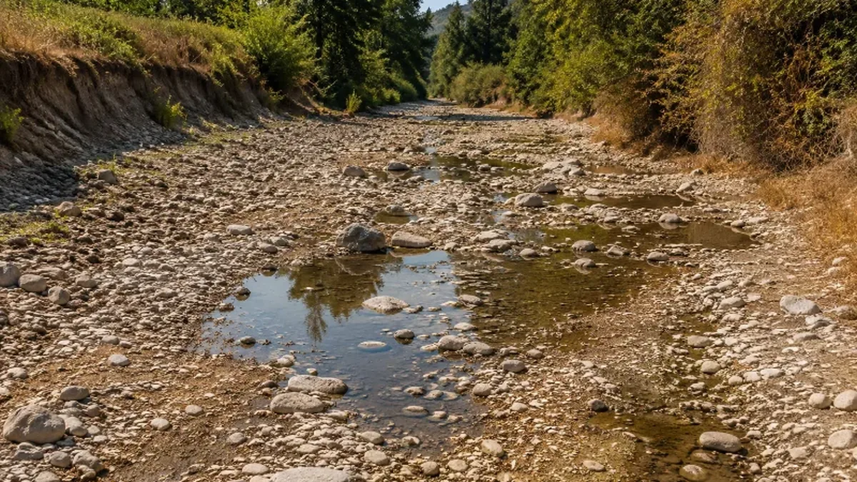 Un cours d&rsquo;eau réduit à quelques flaques au milieu des cailloux
