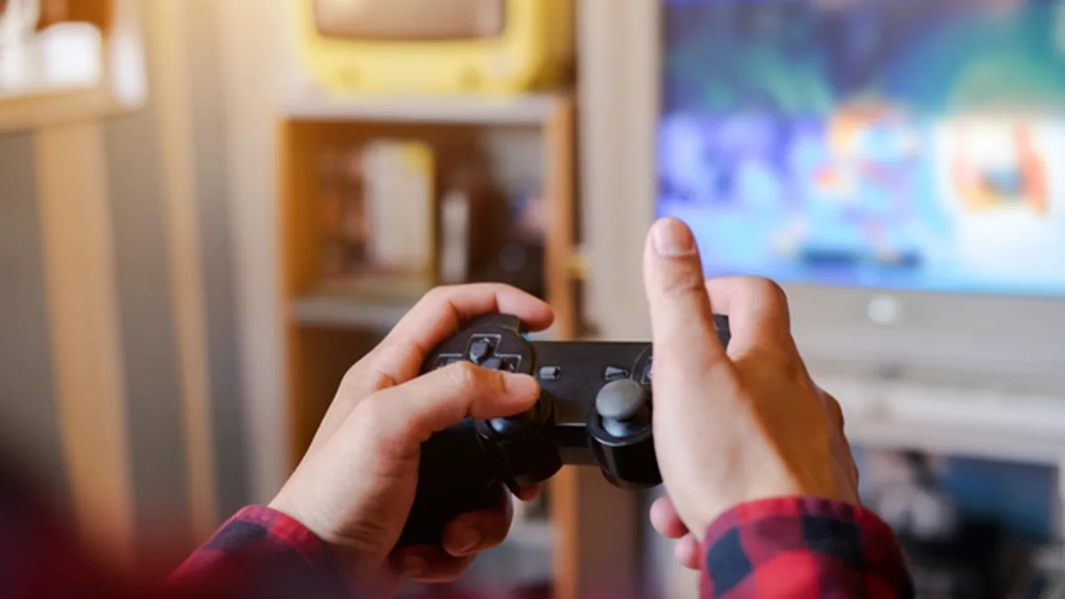 Une personne regarde une plateforme de streaming sur sa télévision, dans son salon