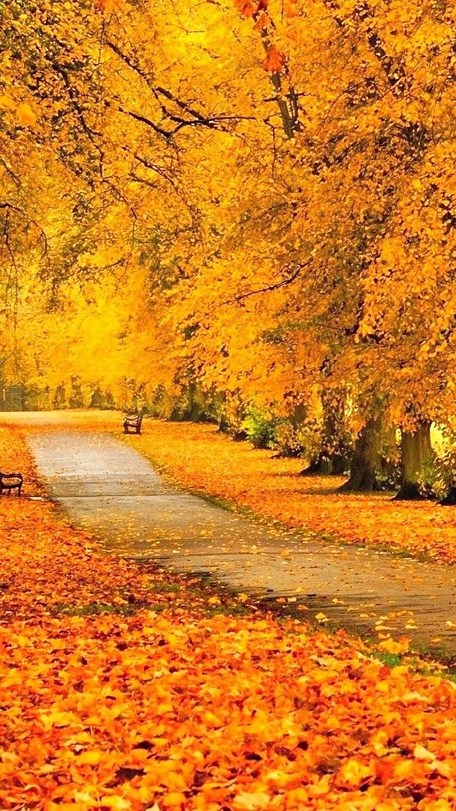 Octobre au jardin : 5 gestes pour préparer le printemps